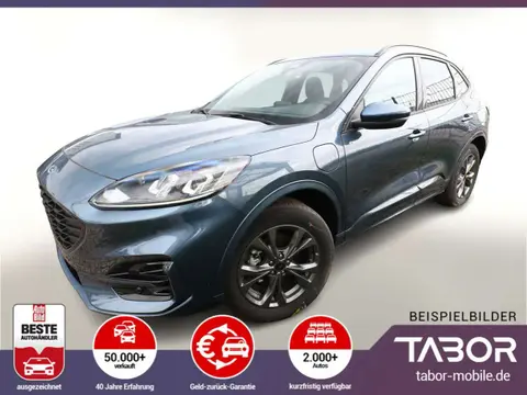 Used FORD KUGA Hybrid 2023 Ad 