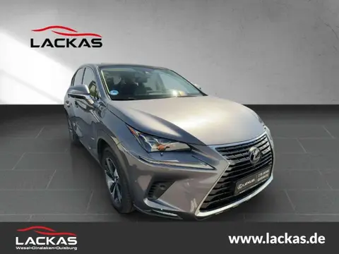 Used LEXUS NX Hybrid 2020 Ad Germany