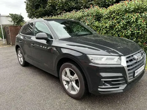 Used AUDI Q5 Hybrid 2021 Ad 