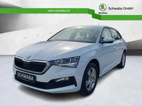 Used SKODA SCALA Petrol 2019 Ad 