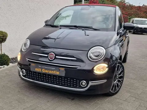 Used FIAT 500 Petrol 2023 Ad 