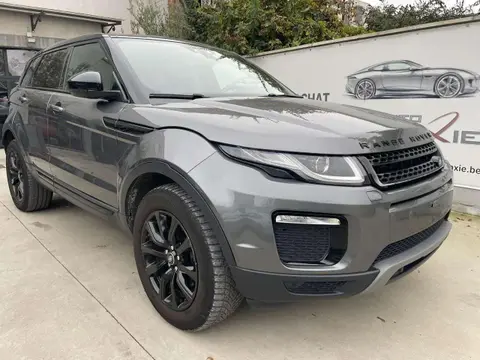 Annonce LAND ROVER RANGE ROVER EVOQUE Diesel 2019 d'occasion 