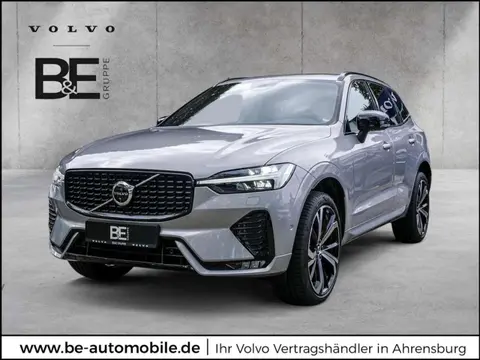 Annonce VOLVO XC60 Diesel 2024 d'occasion 