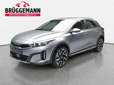 Used KIA XCEED Petrol 2024 Ad 