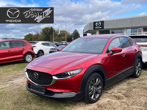 Annonce MAZDA CX-30 Essence 2020 d'occasion Allemagne