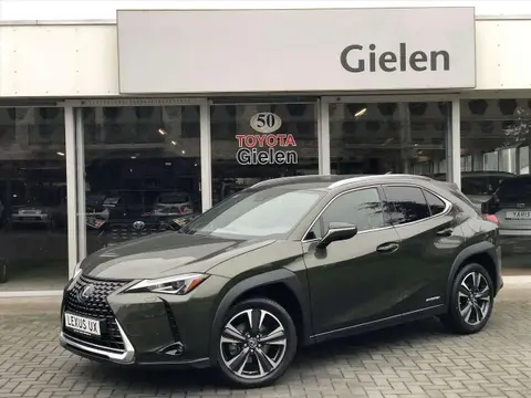 Used LEXUS UX Hybrid 2022 Ad 