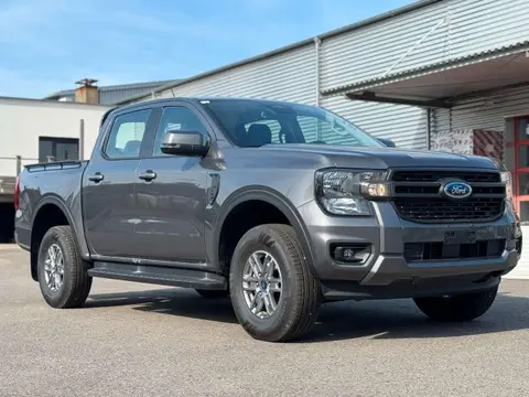 Annonce FORD RANGER Diesel 2024 d'occasion 