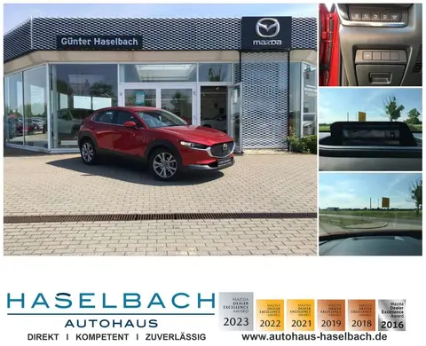 Annonce MAZDA CX-30 Essence 2020 d'occasion 