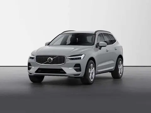 Used VOLVO XC60 Hybrid 2024 Ad 