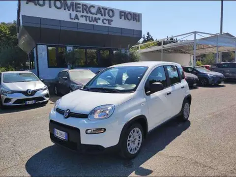 Used FIAT PANDA Hybrid 2024 Ad 