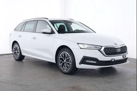 Used SKODA OCTAVIA Petrol 2021 Ad 