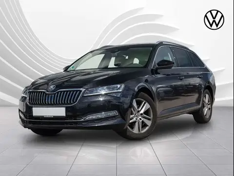 Annonce SKODA SUPERB Diesel 2023 d'occasion 