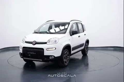 Annonce FIAT PANDA Essence 2023 d'occasion 