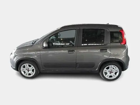 Used FIAT PANDA Hybrid 2023 Ad 