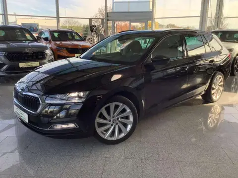 Used SKODA OCTAVIA Diesel 2020 Ad 