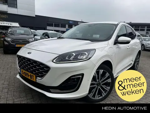 Annonce FORD KUGA Hybride 2023 d'occasion 