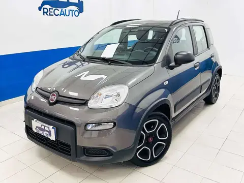 Used FIAT PANDA Hybrid 2022 Ad 