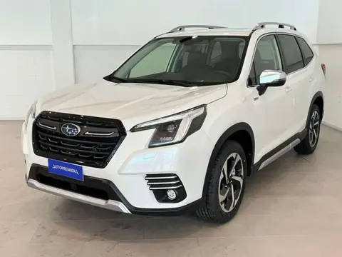 Annonce SUBARU FORESTER Hybride 2024 d'occasion 