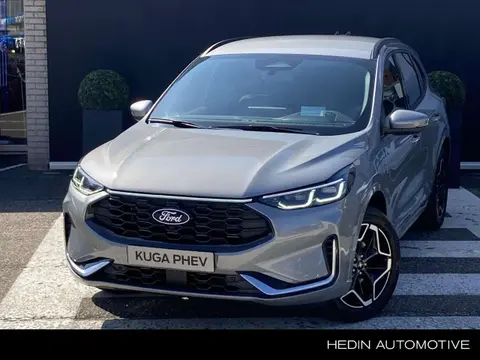 Annonce FORD KUGA Hybride 2024 d'occasion 