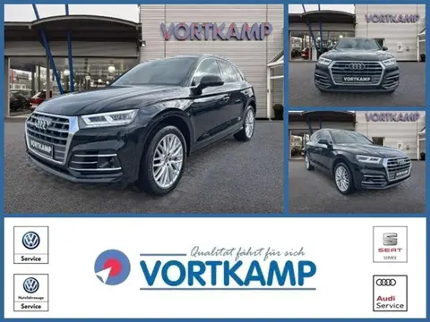 Used AUDI Q5 Diesel 2019 Ad 