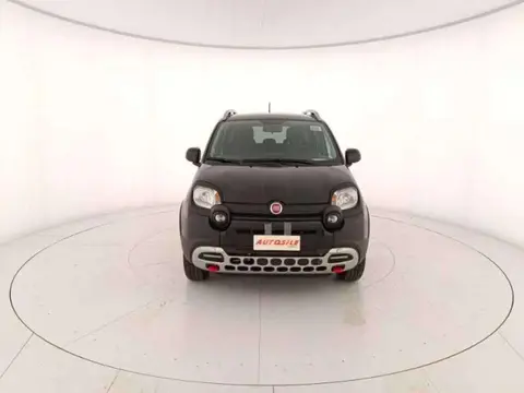 Annonce FIAT PANDA Essence 2023 d'occasion 