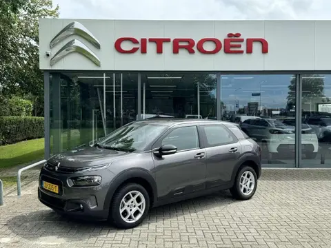 Annonce CITROEN C4 Essence 2019 d'occasion 