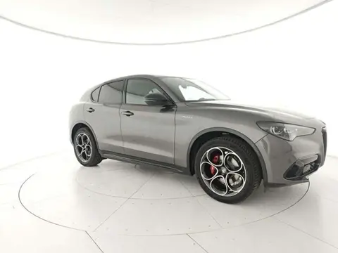 Used ALFA ROMEO STELVIO Diesel 2024 Ad 