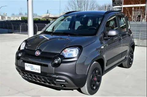 Annonce FIAT PANDA Hybride 2024 d'occasion 