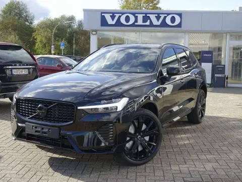 Used VOLVO XC60 Hybrid 2024 Ad 