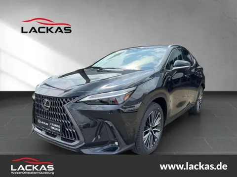 Annonce LEXUS NX Hybride 2024 d'occasion 