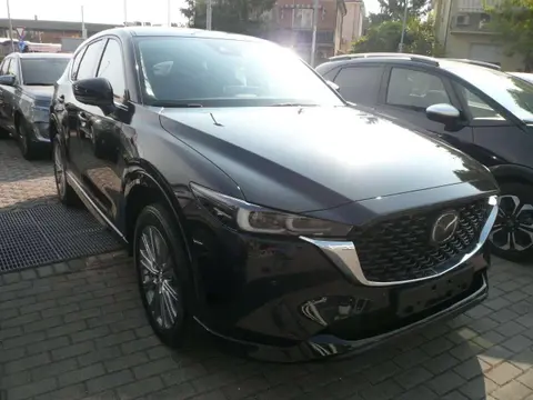 Used MAZDA CX-5 Diesel 2023 Ad 