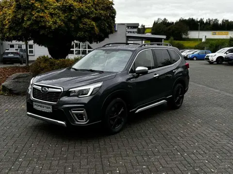 Used SUBARU FORESTER Hybrid 2020 Ad 