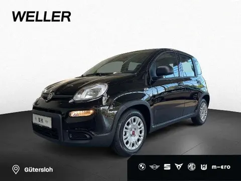 Used FIAT PANDA Petrol 2024 Ad 