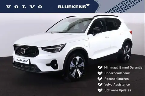 Used VOLVO XC40 Hybrid 2024 Ad 