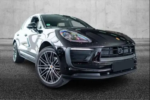 Used PORSCHE MACAN Petrol 2023 Ad 