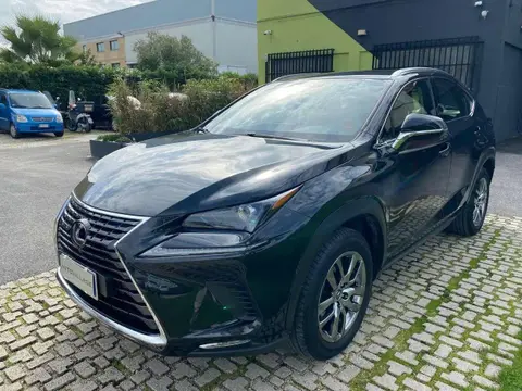 Used LEXUS NX Hybrid 2019 Ad 