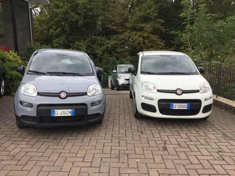 Annonce FIAT PANDA Hybride 2022 d'occasion 