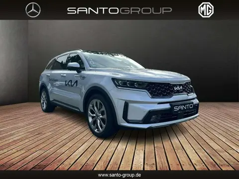 Used KIA SORENTO Diesel 2023 Ad 