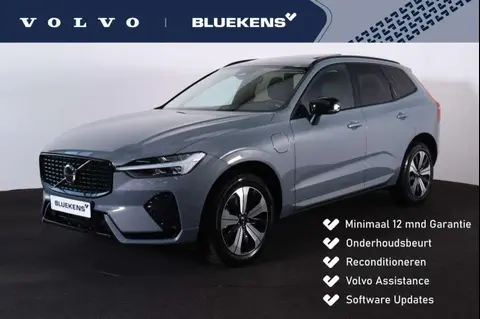 Used VOLVO XC60 Hybrid 2023 Ad 