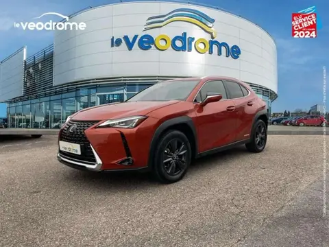 Used LEXUS UX  2021 Ad 