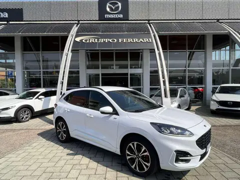 Used FORD KUGA Hybrid 2021 Ad 