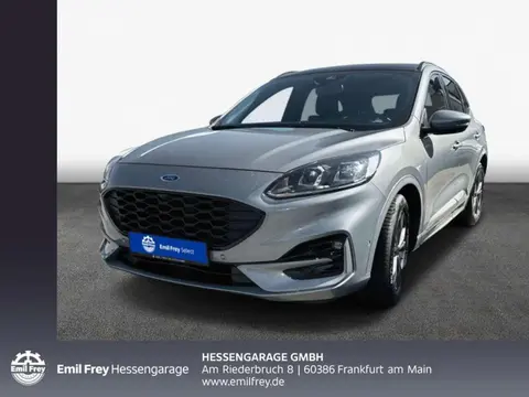 Annonce FORD KUGA Diesel 2023 d'occasion 