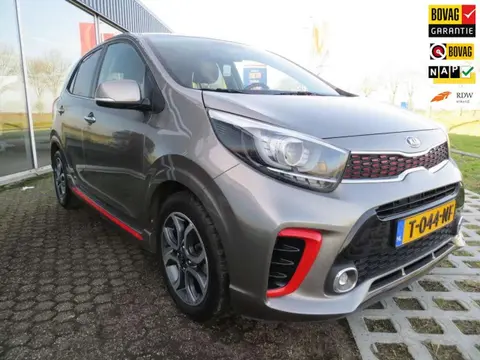 Annonce KIA PICANTO Essence 2020 d'occasion 