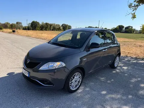 Used LANCIA YPSILON Petrol 2016 Ad 