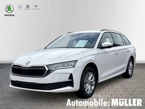 Annonce SKODA OCTAVIA Essence 2024 d'occasion 