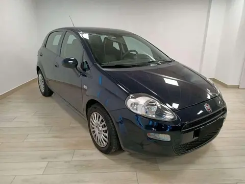 Used FIAT PUNTO Diesel 2017 Ad 