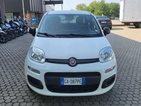 Used FIAT PANDA Petrol 2020 Ad 