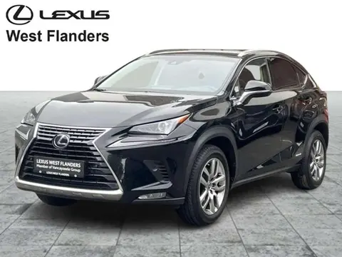 Annonce LEXUS NX Hybride 2018 d'occasion 