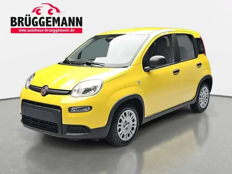 Annonce FIAT PANDA Essence 2024 d'occasion 