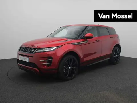 Annonce LAND ROVER RANGE ROVER EVOQUE Hybride 2019 d'occasion 